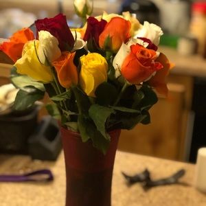 Meet your Posher, Melody